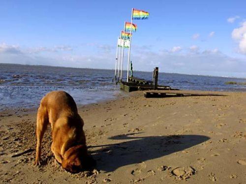 Ferienhaus Cordes, Fewo Vermittlung Nordsee Dangastermoor المظهر الخارجي الصورة